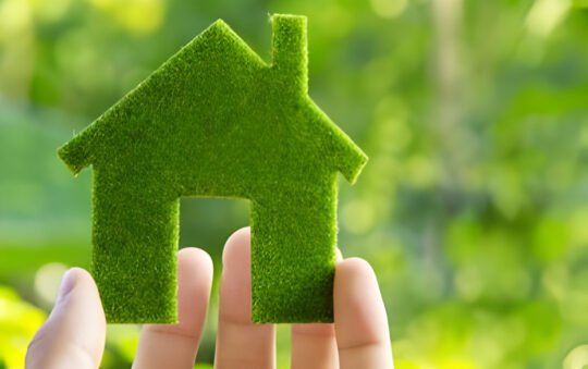 Eco-Friendly Home Improvements: Sustainable Living Tips for 2024