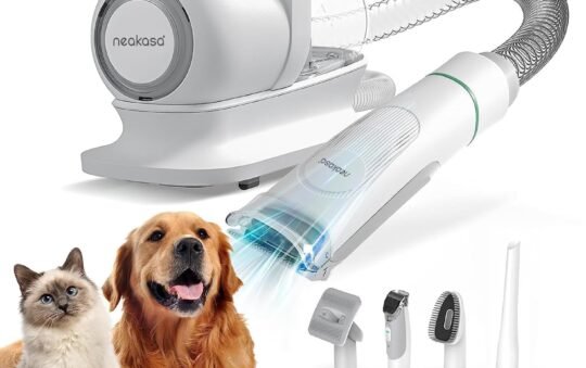 Amazon Pet Day Deals 2024: Top Picks for Your Furry Friends